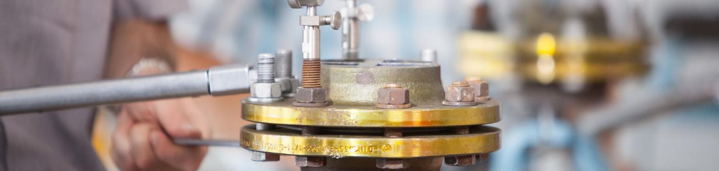 Corrugated graphite gasket